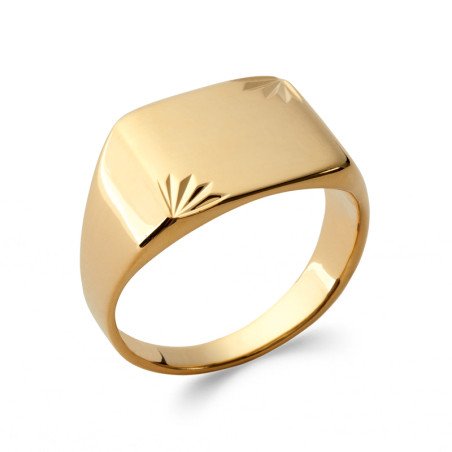 BAGUE PL-OR 750 3MIC