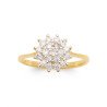 BAGUE PL-OR 750 3MIC BIC OZ