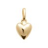 PENDENTIF PL-OR 750 3MIC