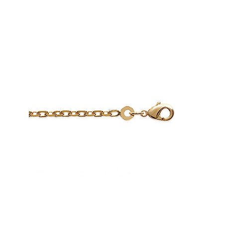 CHAINE PL-OR 750 3MIC