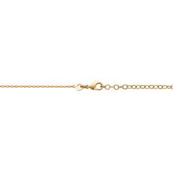 CHAINE PL-OR 750 3MIC