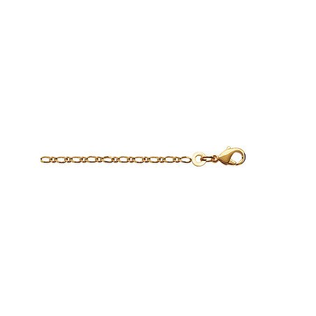 CHAINE PL-OR 750 3MIC