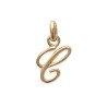 PENDENTIF PL-OR 750 3MIC