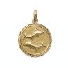 PENDENTIF PL-OR 750 3MIC