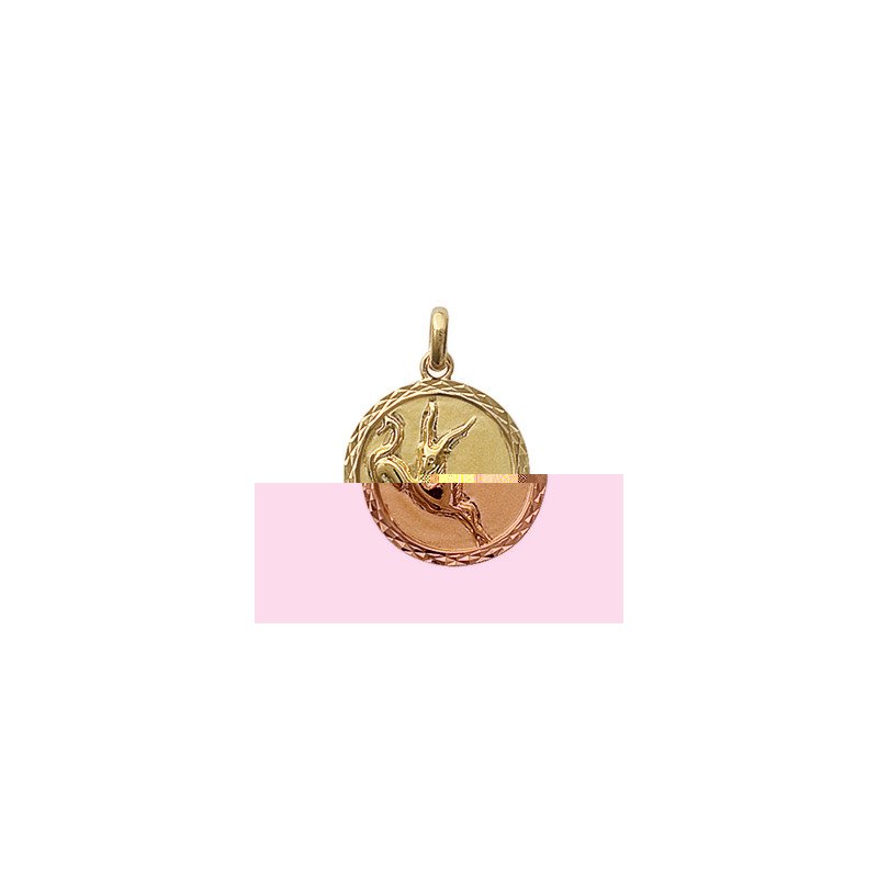 PENDENTIF PL-OR 750 3MIC